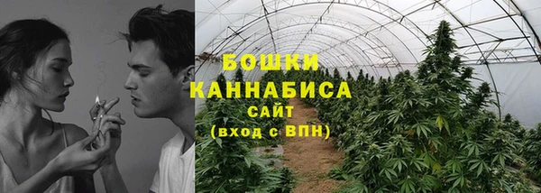 PSILOCYBIN Белоозёрский