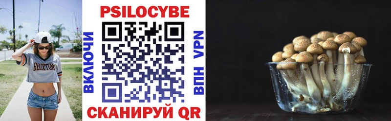 Купить где  Гаджиево  Псилоцибиновые грибы Magic Shrooms 