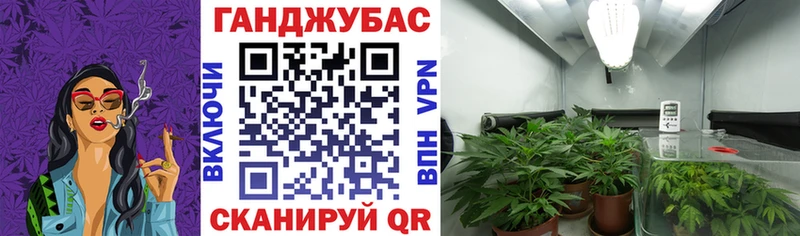 Каннабис Ganja  Купить где  Гаджиево 